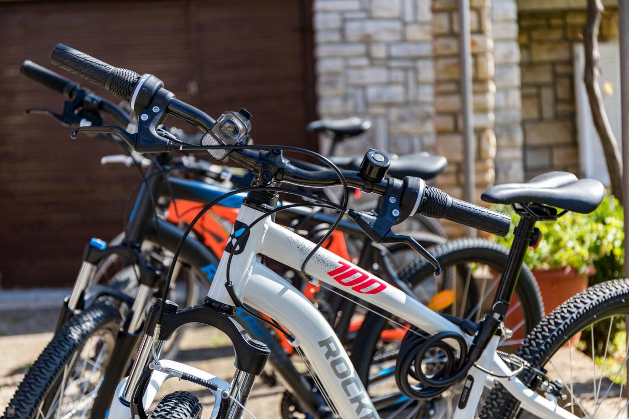 Apartment Tesic Close To The Sea With Shared 4Xbicycles Fažana Eksteriør billede