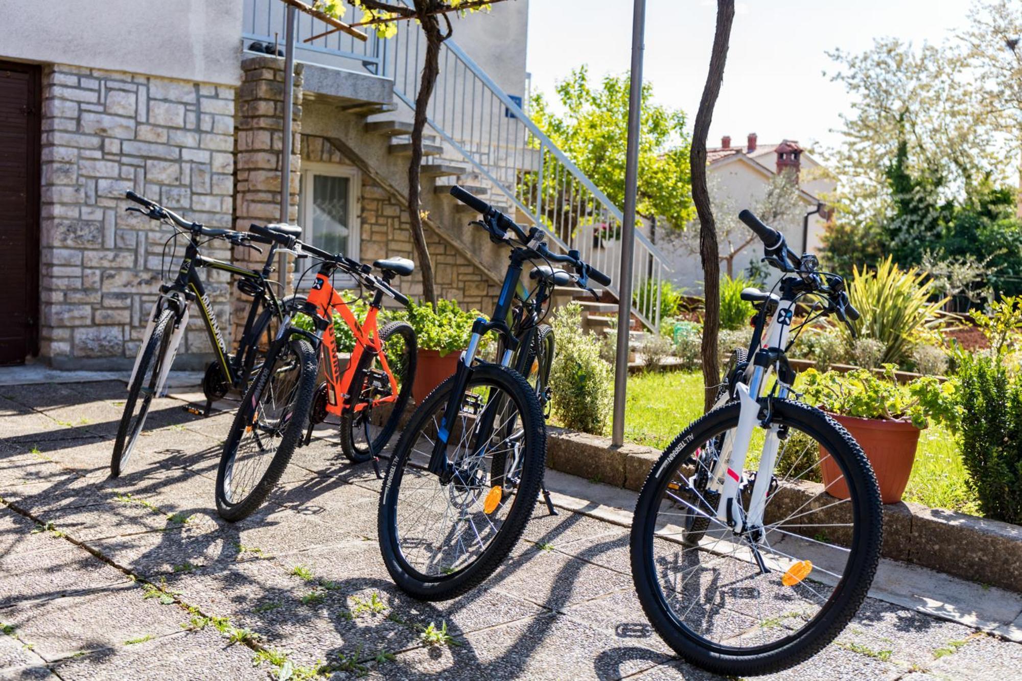 Apartment Tesic Close To The Sea With Shared 4Xbicycles Fažana Eksteriør billede